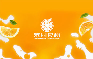 某良橙——定西LOGO设计